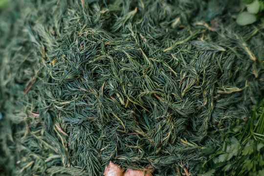 Romeritos at a traditional stall in a Mexican tianguis.
