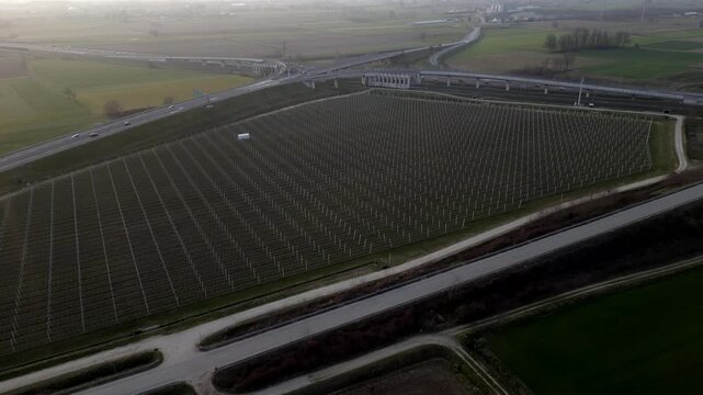 Aerial view, row of apple trees, bare branches about to blossom. Video 4K