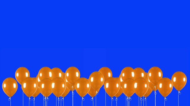 A row of bright orange glossy balloons sways and rises slightly against a solid blue backdrop. This loopable element is designed for blue screen keying to enhance party-themed video projects.