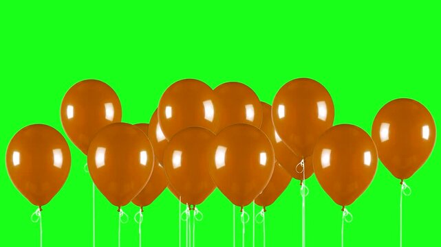 A 3D animation of several shiny orange balloons rising or floating against a chroma key green background. This isolated element is ideal for birthday celebrations, festive events, and party-themed vid