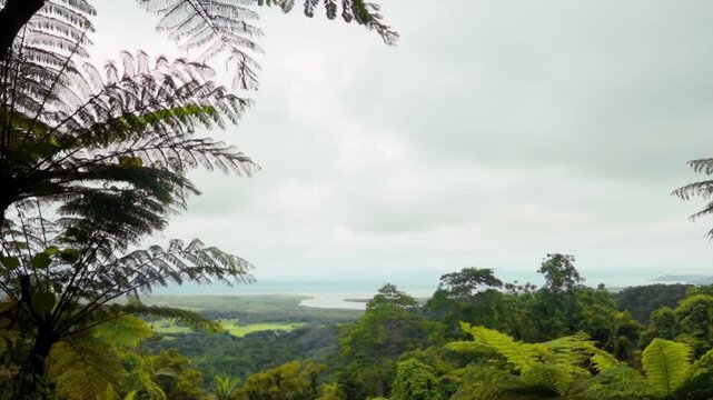 Mount Alexandra Lookout View of Daintree Rainforest and Coral Sea, Queensland Australia