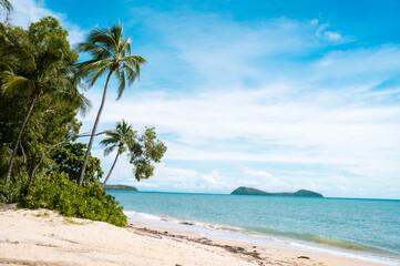Fototapeta premium Tropical Beach Landscape with Coconut Palm Trees at Palm Cove, Clifton Beach, and Port Douglas in Queensland Australia - Serene Ocean Scenery with White Sand and Blue Sky on a Sunny Summer Day