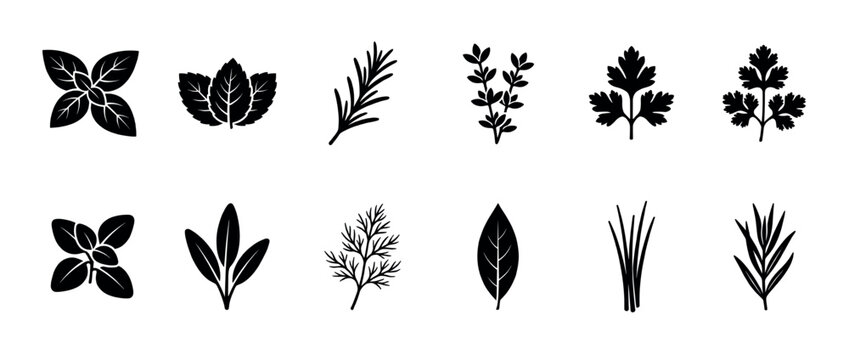 Black silhouette icons of various culinary herbs, including basil, rosemary, and parsley, presented in a clean, graphic, and minimalist vector style