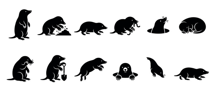 Collection of black silhouette mole illustrations depicting various poses and activities, rendered in a clean, graphic, and minimalist style