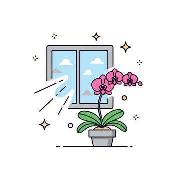 Proper light for orchids blooming orchid positioned beside a window icon with soft diffused sun rays, small shadow shapes indicating indirect light. A clean