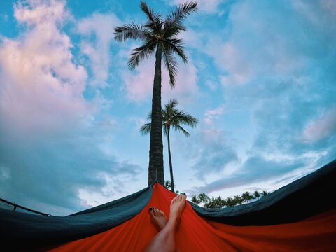 Personal perspective of a Woman's feet in a hammock with palm trees in the distance, Oahu, Honolulu, Hawaii, USA
