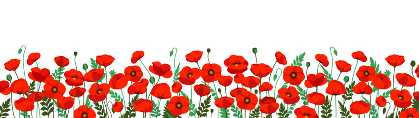 Nature Poppy field. Banner with beautiful red blooming flowers with green leaves. Horizontal decorative border with spring plants. Cartoon Flat vector illustration isolated on background