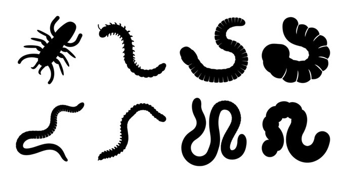 Silhouette illustration depicting various types of invertebrate animals commonly found in soil