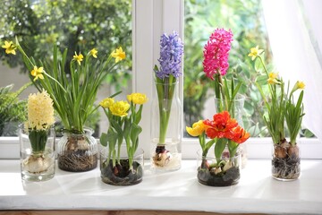 Fototapeta premium Beautiful spring flowers in vases on white windowsill indoors