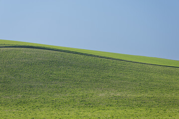Obraz premium Minimal green hill landscape with blue sky and copy space