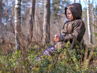 Fototapeta premium Boy Sitting in Forest Undergrowth Examining Something in His Hands — Child Nature Study, Quiet Curiosity, Mindful Child, Boreal Forest Spring