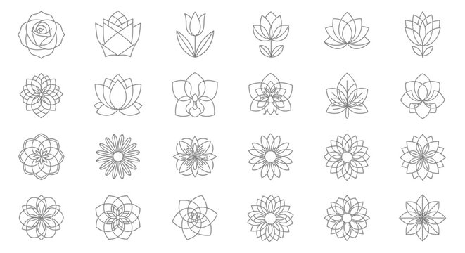 collection of minimal line art flower illustrations depicting diverse botanical designs and natural patterns for various creative projects.