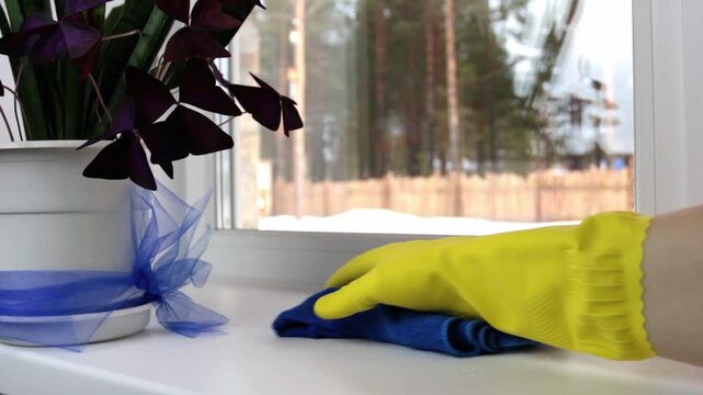 Housewife cleans window sill. Video	