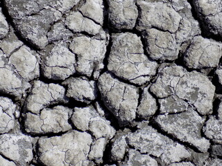 Salt marsh from above