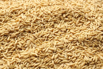 Fototapeta premium Natural oat grain as background, closeup view
