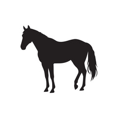 Obraz premium Graceful Black Horse Silhouette Standing In Profile View Isolated On White Background