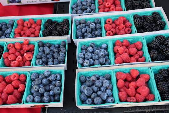 summer berries