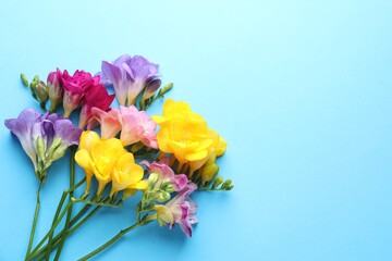Fototapeta premium Colorful freesia flowers on light blue background, flat lay. Space for text