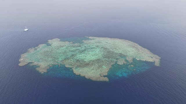 Seen from a bird's eye view, an impressive platform reef, named "E6," sits in the midst of the Bligh Channel east of Viti Levu, Fiji. The reef is home to extensive coral growth and fish diversity.