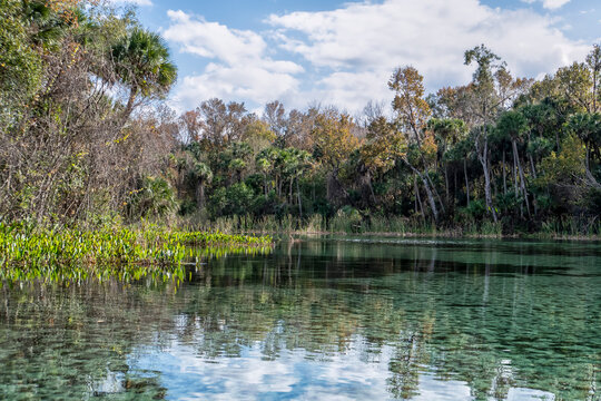 Clear water reflects sky and trees