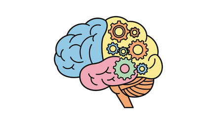 Brain with colorful gear mechanism inside. © Aan