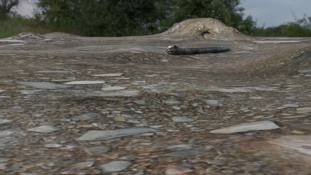 3D modeling animation of a snake emerging from its burrow and slithering across the ground.