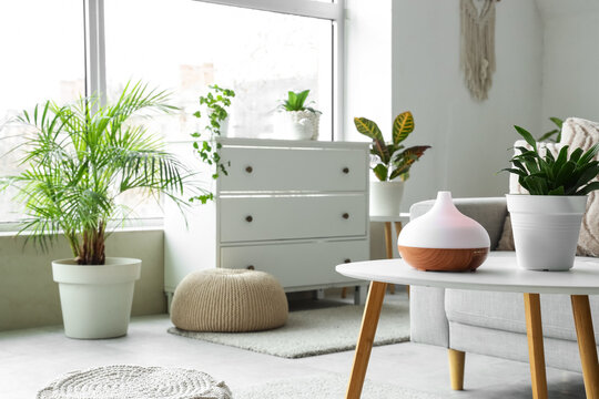 Air humidifier with green plant on table in light living room interior