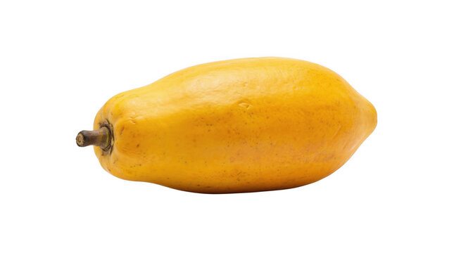 Fresh vibrant ripe yellow papaya fruit with smooth skin and stem isolated on a clean black studio background with bright clear lighting for healthy ea