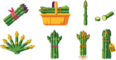 Fresh Asparagus Vegetable Flat Vector Icon Set Featuring Bundles, Organic Produce, Cut Stalks, and Farm Harvest Illustrations Isolated on White Background © MDTAREK