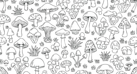 Mushroom Pattern Hand-Drawn Fungi Collection Forest Elements. © khafid