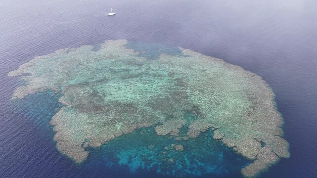 Seen from a bird's eye view, an impressive platform reef, named "E6," sits in the midst of the Bligh Channel east of Viti Levu, Fiji. The reef is home to extensive coral growth and fish diversity.