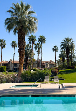 Empty lounge chairs invite you to spend time by the pool and hot tub in a beautifully manicured palm desert neighborhood full of palm trees.