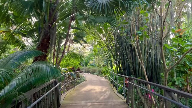 Walking on a pathway in Harry P Leu tropical botanical gardens in Orlando.