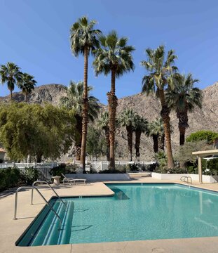 Empty lounge chair invites you to spend time by the pool in a beautifully manicured palm desert neighborhood full of palm trees.