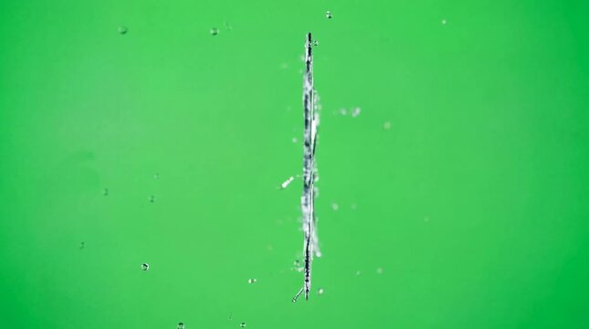 Snowflake clipart falling on green screen seamless winter animation