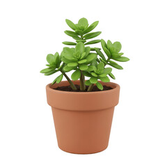 Fototapeta premium A small potted plant with green leaves sitting on a white background isolated on transparent background