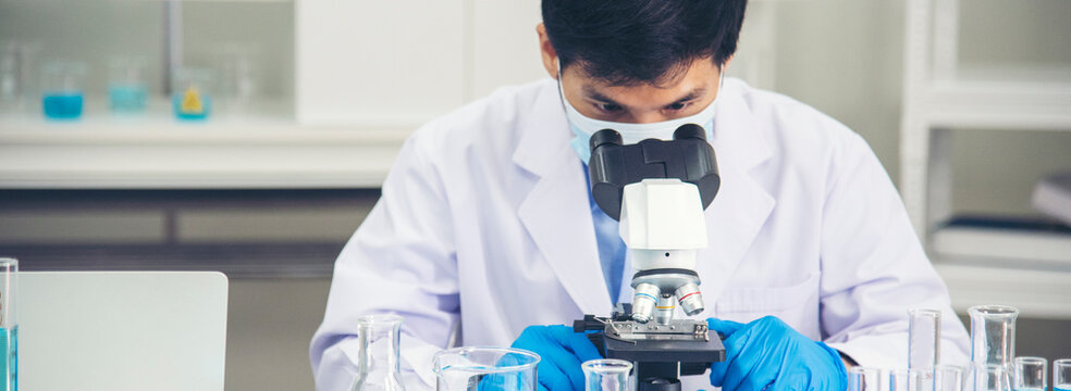 Banner Scientist man hands look at Glass Petri Dish use Microscope research in science laboratory. Banner Close up scientist hands using fungi Dish laboratory chemistry medical lab with copy space