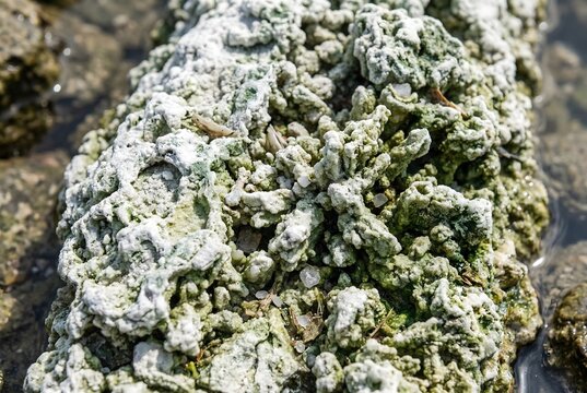 Macro close-up of a massively corroded zinc sacrificial anode from a marine vessel hull