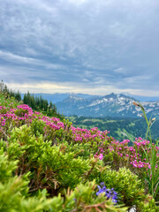 Obraz premium Mount Rainier Skyline Trail Scenic Alpine Hike Washington 