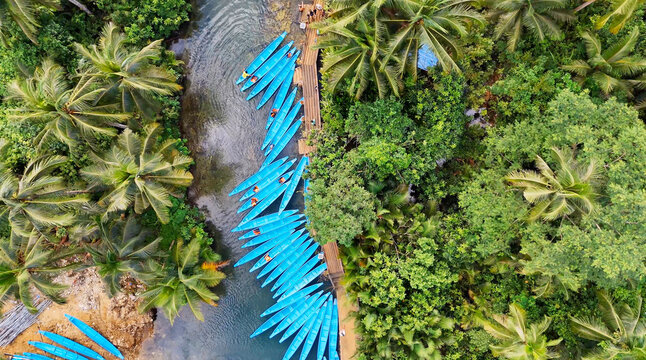 maasin river, siargao, philippines, kayaks, coconut palm ,Drone