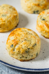 Homemade Savory Sous Vide Egg Bites