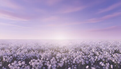 Fototapeta premium A serene and dreamy landscape of a vast field of small purple flowers under a vibrant purple and pink sky with the sun shining brightly