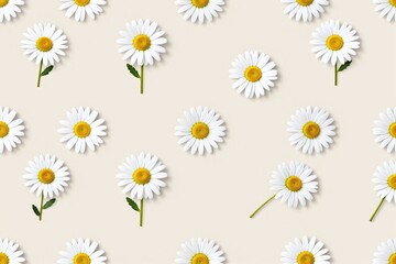 Obraz premium A pattern of daisies on a beige background