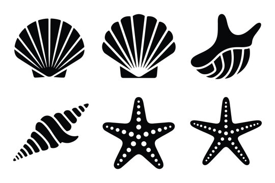 Black silhouettes of seashells and starfish sea creatures