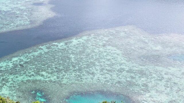 Aerial Drone View of Vibrant Coral Reefs in Koror Palau