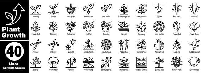 Obraz premium Plant growth concept. Collection of seedling, sprouting, germination, roots, cultivation, pruning, flowering, fruiting, nurturing vector illustration.