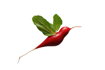 Fototapeta premium Radish shaped into a flying hummingbird, featuring two green leaves as wings, representing food art and surreal creativity