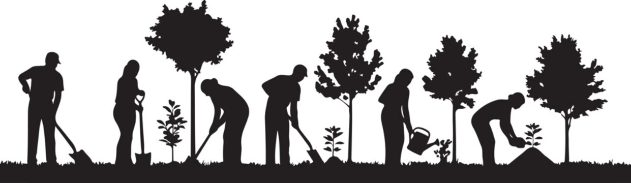 Set of 7 people planting trees vector silhouettes isolated on Transparent Background
