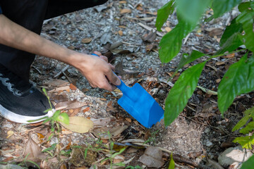 Fototapeta premium Asian man using shovel dig for plant seedling. Reforestation concept