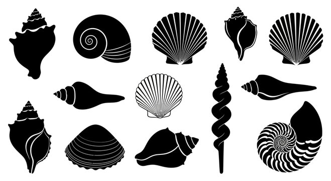 Collection of various seashell silhouettes on white background.